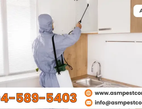 Pest Control Fee: How to Estimate Costs Easily before Inspection?